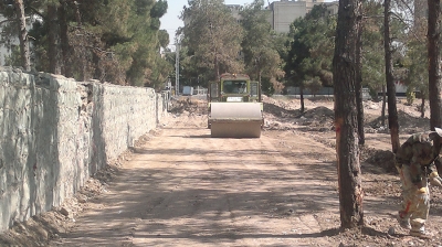 احداث بوستان ارغوان_4